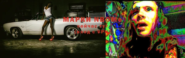 стаф Аркадак