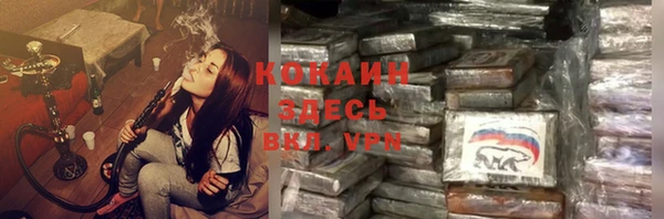 стаф Аркадак