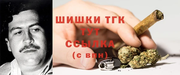 винт Арсеньев