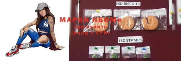 стаф Аркадак