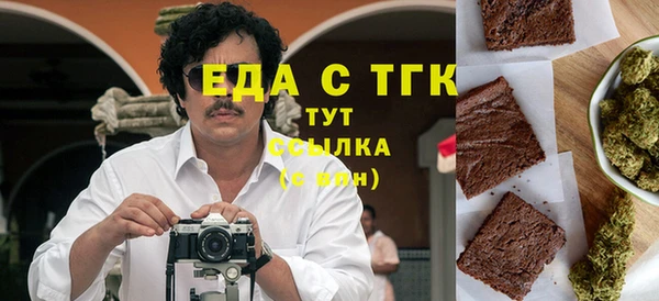 стаф Аркадак