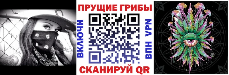 Галлюциногенные грибы мицелий  Балей 